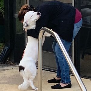 Meet your Posher, Noelle